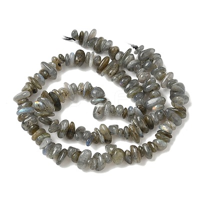 Natural Labradorite Beads Strands G-I225-15A-1
