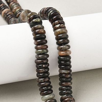 Natural Biotite Beads Strands G-B155-B04-4x10mm-1