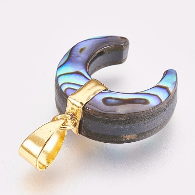 Paua Shell Pendants KK-G346-01B-1