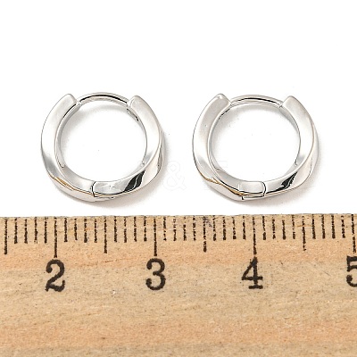 Brass Hoop Earrings EJEW-L211-08G-P-1