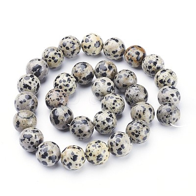 Natural Dalmatian Jasper Beads Strands X-GSR12mmC004-1
