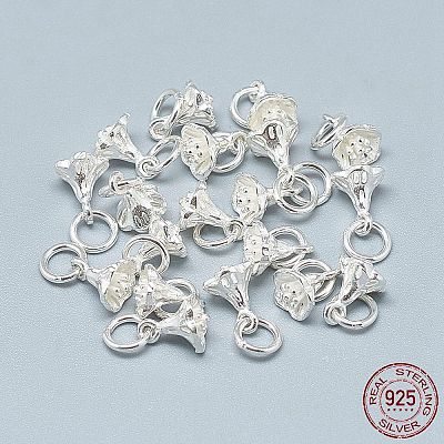 925 Sterling Silver Charms STER-T002-49S-1