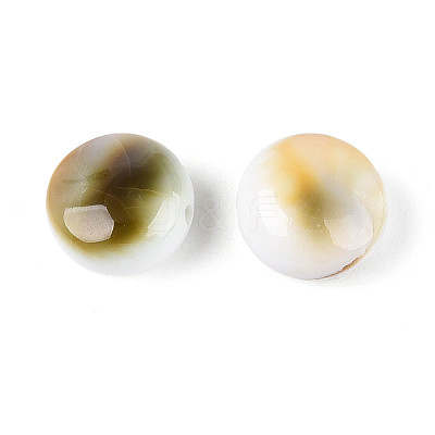 Natural Shiva Eye Shell Beads BSHE-T014-33A-1