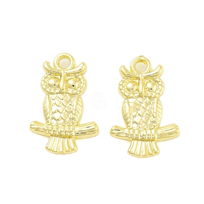 Rack Plating Alloy Pendants FIND-Q108-01G-1