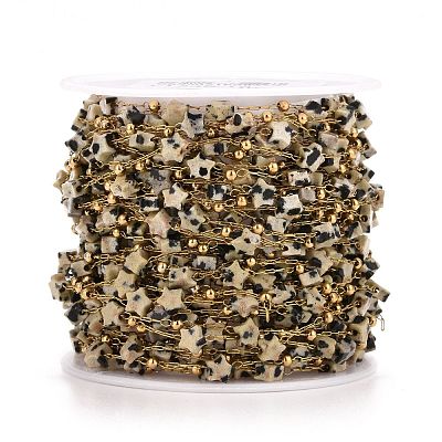 Ion Plating(IP) 304 Stainless Steel Satellite Chains CHS-G019-01G-06-1