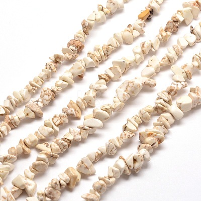 Magnesite Chip Bead Strands G-M205-75-1