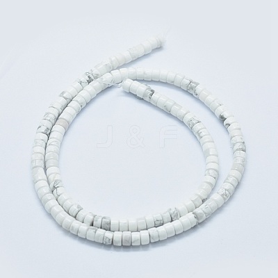 Natural Howlite Beads Strands G-F631-A03-1