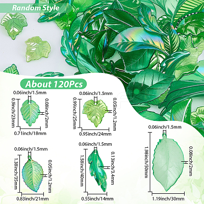 100G Transparent Acrylic Pendants TACR-BM0001-06-1