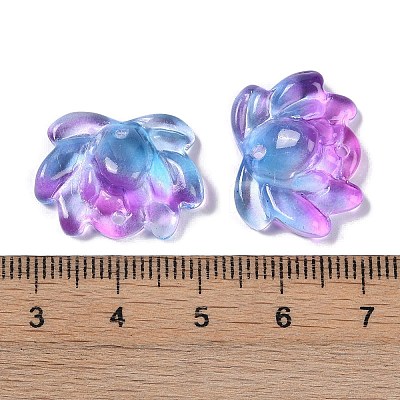Baking Paint Glass Beads X-GLAA-S202-13A-1