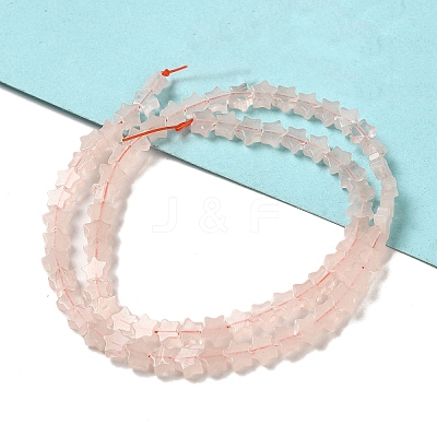 Natural Rose Quartz Beads Strands G-G085-B19-02-1