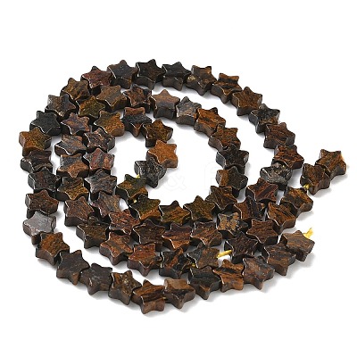 Natural Bronzite Beads Strands G-G085-B60-02-1