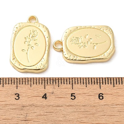 Alloy Pendants PALLOY-P303-22G-1