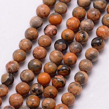 Natural Leopard Skin Jasper Gemstone Bead Strands G-K146-12-3mm-1