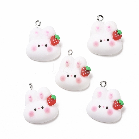 Resin Pendants X-RESI-M026-09-1