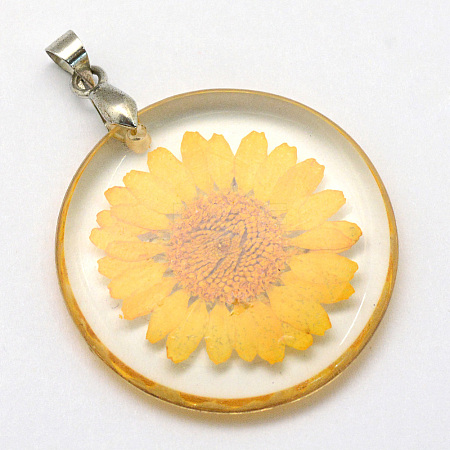Alloy Resin Pendants LS-RESI-S321-06-1
