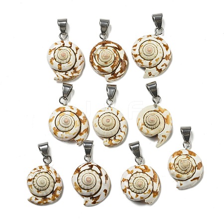 Natural Shiva Eye Shell Pendants BSHE-G039-05-1