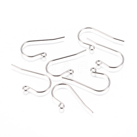 Tarnish Resistant 304 Stainless Steel Earring Hooks STAS-F227-29-P-1
