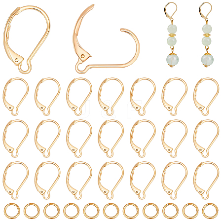 30Pcs 304 Stainless Steel Leverback Earring Findings STAS-BBC0009-23-1