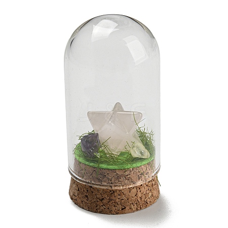 Natural Rose Quartz Polygon Display Decoration with Glass Dome Cloche Cover DJEW-B009-05F-1