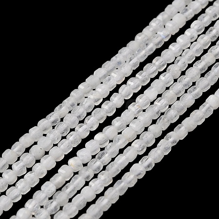 Natural Rainbow Moonstone Beads Strands G-I353-04-1