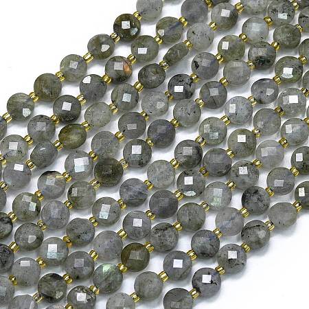 Natural Labradorite Beads Strands G-K389-B66-01-1