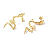 Snake Brass Ear Studs EJEW-P281-02G-2