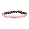 Natural Tiger Eye & Moonstone & Black Stone & Cherry Quartz Glass Round Beads Stretch Bracelets Set BJEW-JB07293-5