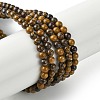 Natural Miriam Stone Beads Strands G-K365-C02-01-1