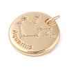 Brass with Clear Cubic Zirconia Pendants LS-KK-N256-24K-G-2