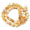 Natural Trochid Shell/Trochus Shell Beads Strands SHEL-S258-083-B11-2