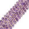 Natural Amethyst Beads Strands G-P463-40-1