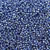MIYUKI Delica Beads SEED-MY11-DB2517-2