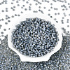 6/0 Glass Seed Beads SEED-N008-07A-2