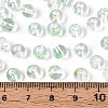 Baking Paint Transparent Glass Beads DGLA-T004-08G-4