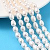 Natural Cultured Freshwater Pearl Beads Strands PEAR-I007-01D-06A-01-1