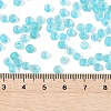 6/0 Luminous Glass Seed Beads X1-SEED-NH0001-01N-5