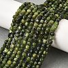 Natural Canadian Jade Beads Strands G-G259-C04-4x4mm-1
