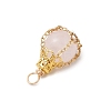 Natural Rose Quartz Pendants PALLOY-JF03396-01-4
