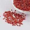 11/0 Two Cut Glass Seed Beads X-CSDB25B-1