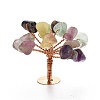 Natural Fluorite Chips Display Decorations G-Z016-13I-2