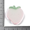 Luminous Resin Fruit Slice Display Decoration DJEW-B014-04-4