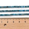 Natural Apatite Beads Strands G-G155-A01-01-5