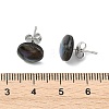 Flat Round Oval Natural Paua Shell Stud Earring for Women EJEW-JE07125-5