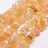 Natural Citrine Beads Strands G-F521-01-1