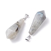 Natural Labradorite Pointed Pendants G-I314-02P-02-3