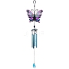 Glass Pendant Decorations PW-WG59099-04-1