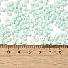 6/0 Glass Seed Beads X1-SEED-M012-01A-07-4