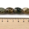Tibetan Style dZi Beads Strands G-S389-A04-5