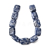 Natural Blue Spot Jasper Beads Strands G-S386-A05-3