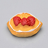Resin Cabochons LS-CRES-T005-23-1